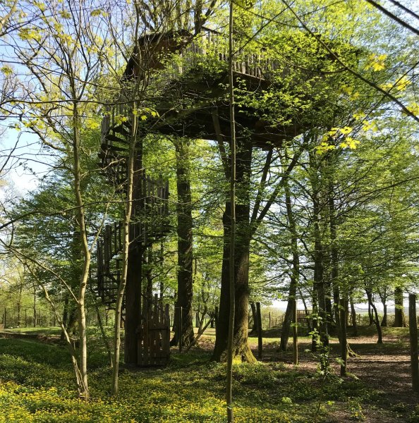 domaine-meauce-mariage-arbre