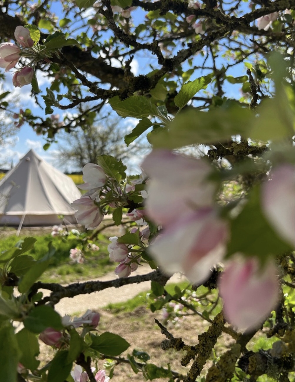 928D3F02-2CBC-4F20-8FF3-06844EEBA798-9