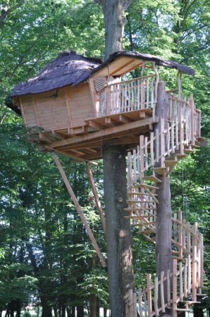 cabane arbre